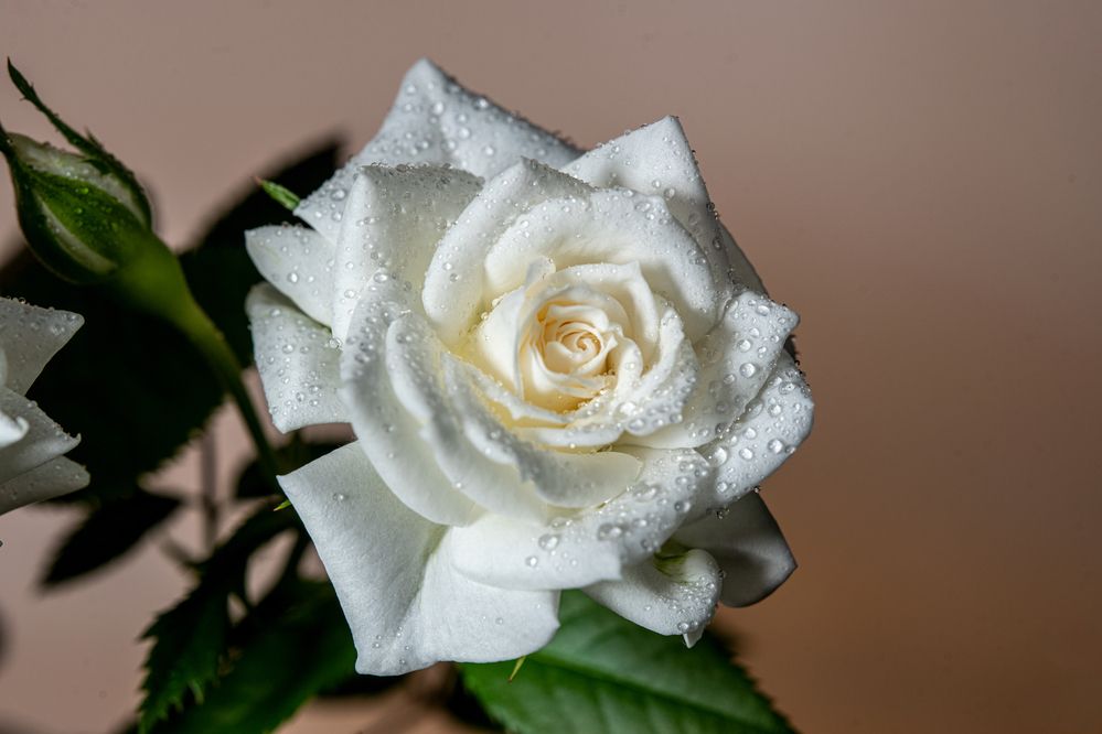 Фотография автора Ruslan Badykov