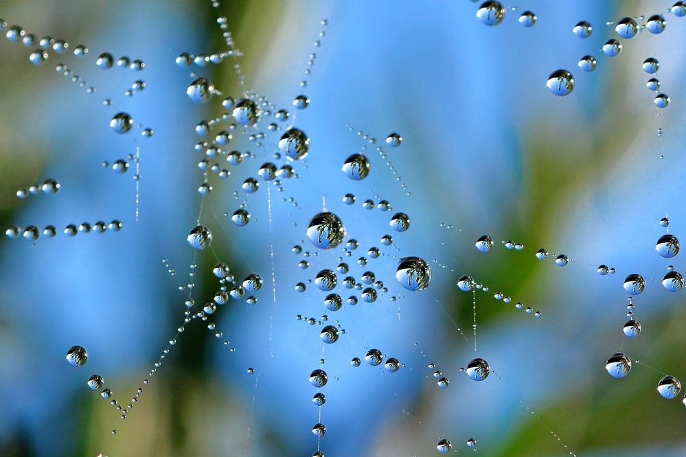 Photograph by Marjo Steffen