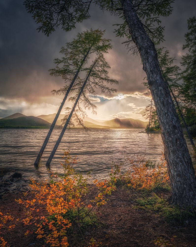 Photograph by Наталия Полякова