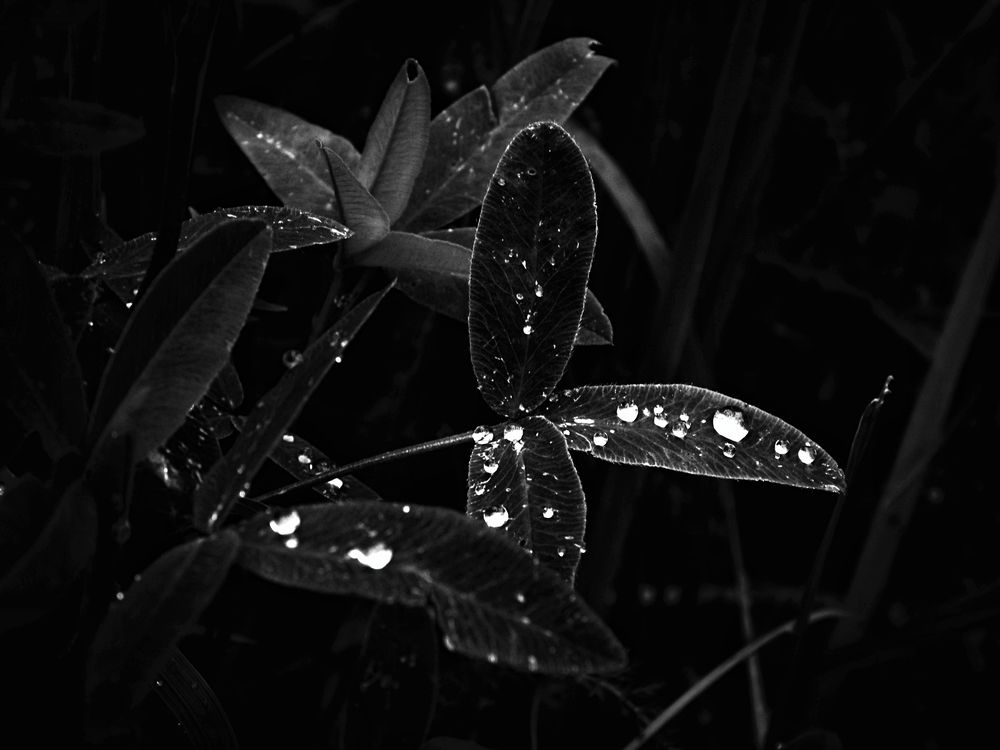 Фотография автора Екатерина Солохина