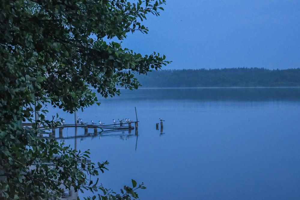 Photograph by Нина Борисова