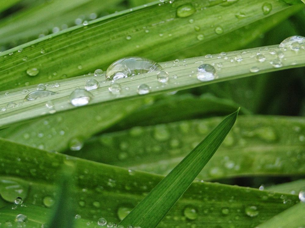 Photograph by Дмитрий