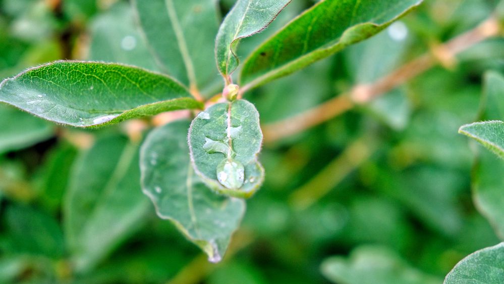 Photograph by Дмитрий