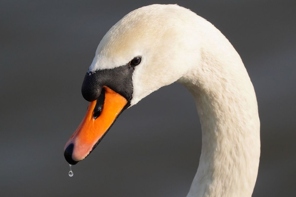 Фотография автора Sergej Roor