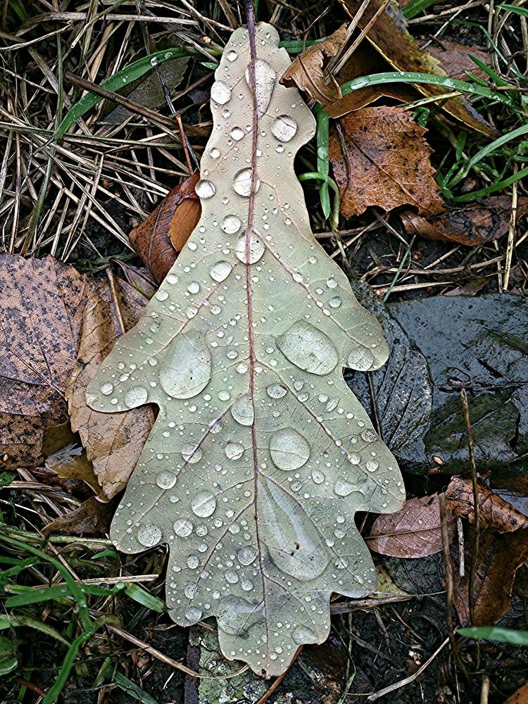 Photograph by Дмитрий