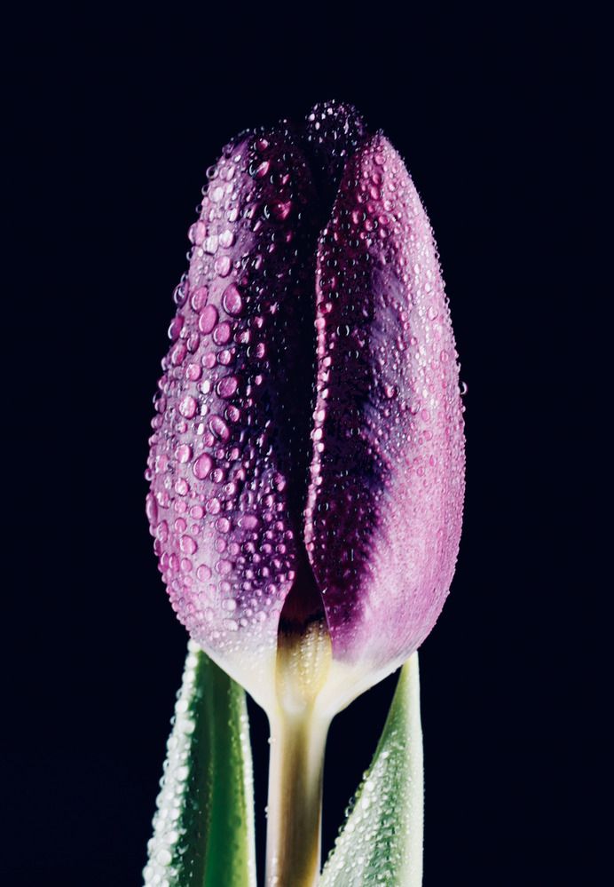 Photograph by Ольга Чибисова