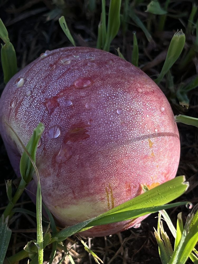 Photograph by Динара Dinara