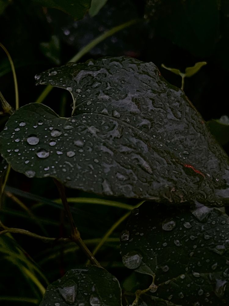 Photograph by Динара Dinara