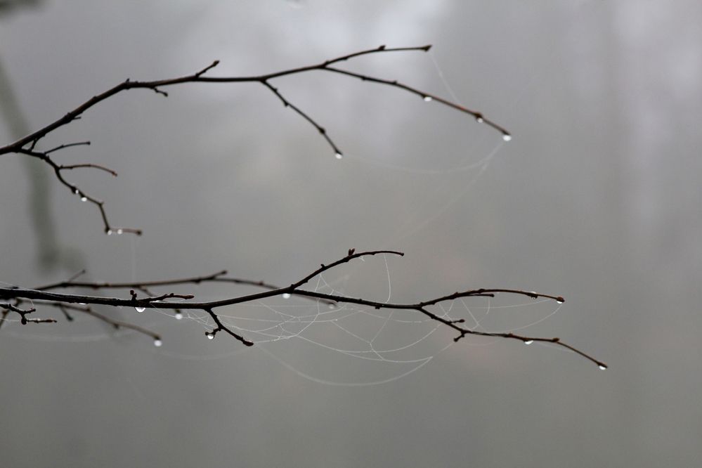 Photograph by Марианна Браун