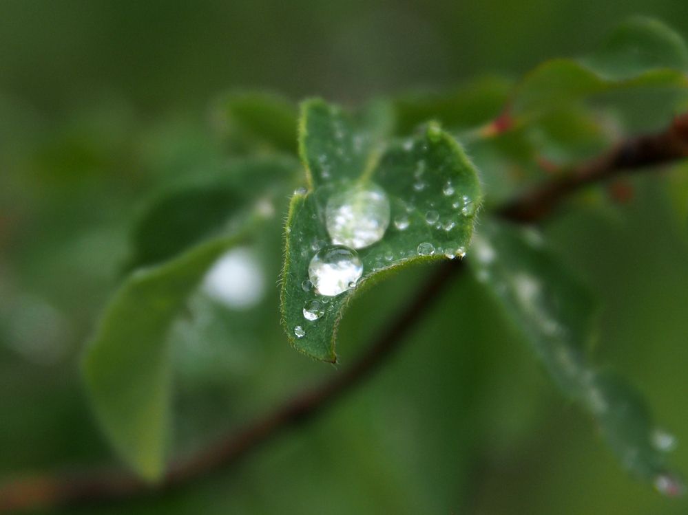 Photograph by Марианна Браун