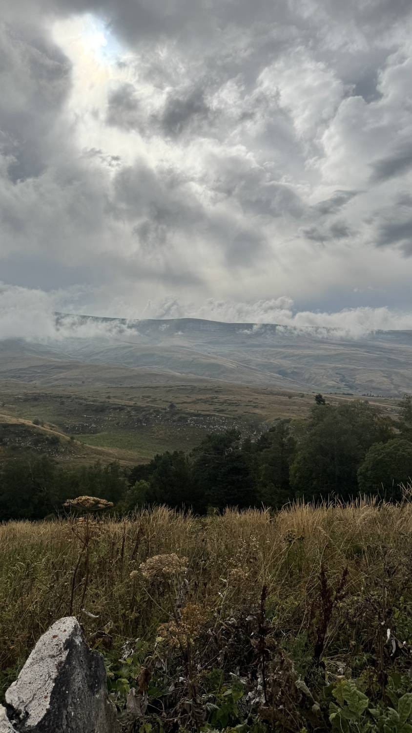 Photo #12572868