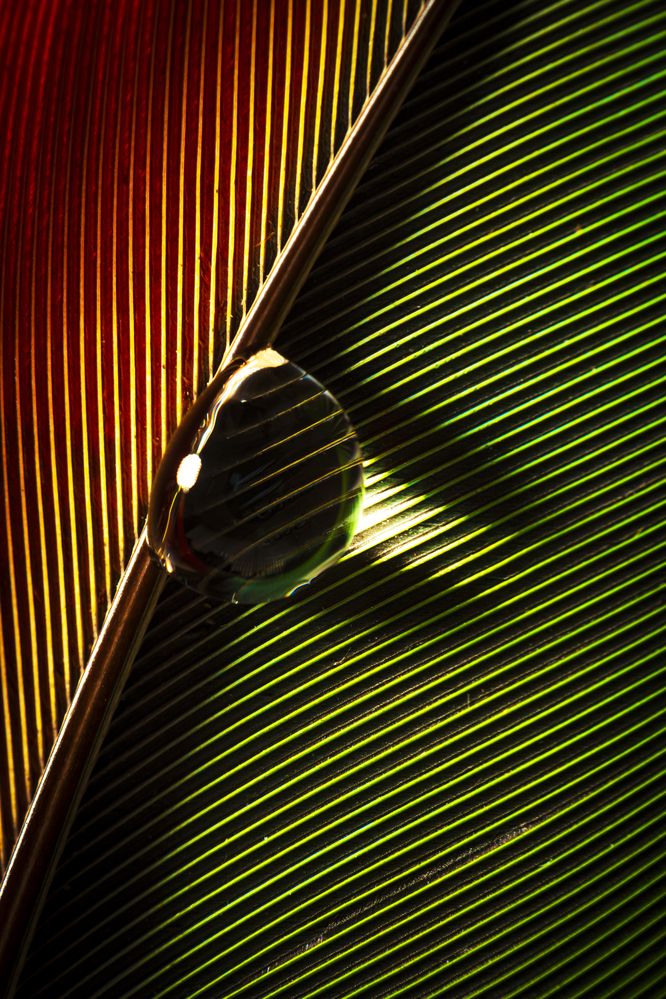 Photograph by Valdir Hobus