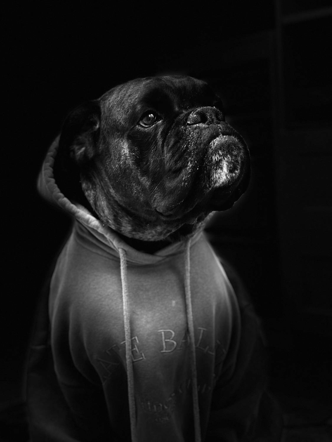 Photo #12572891