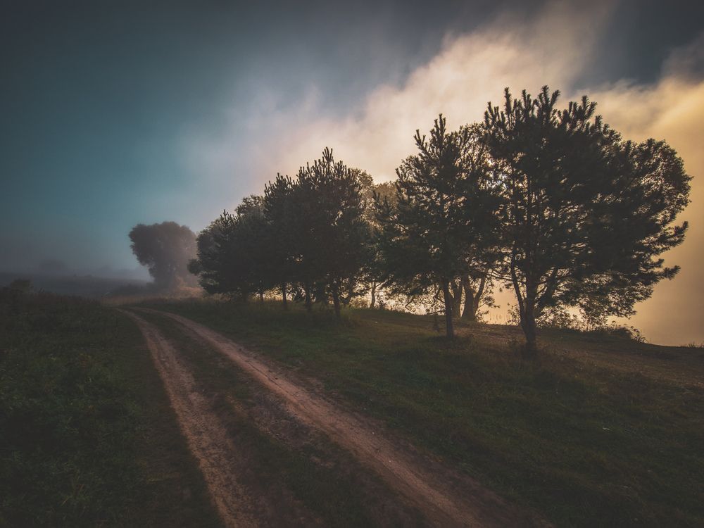 Photograph by Кирилл Сидоров