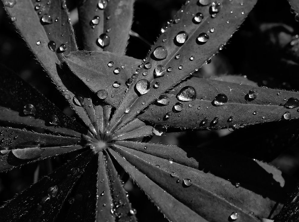 Photograph by Дмитрий Ткаченко