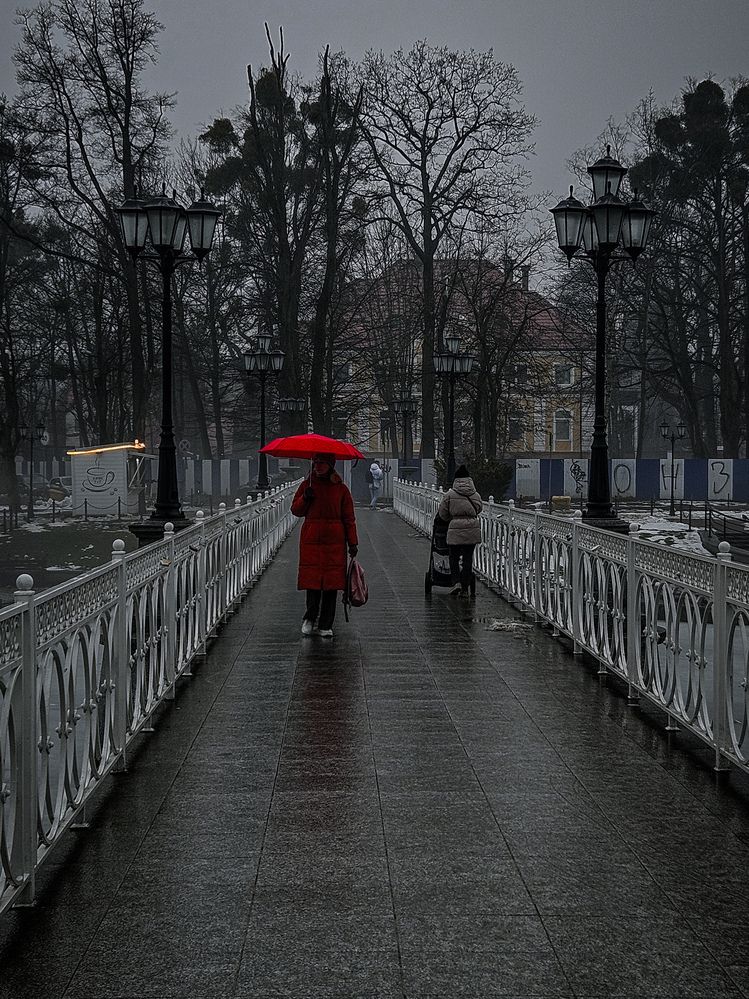 Photograph by Кристина Альшанская