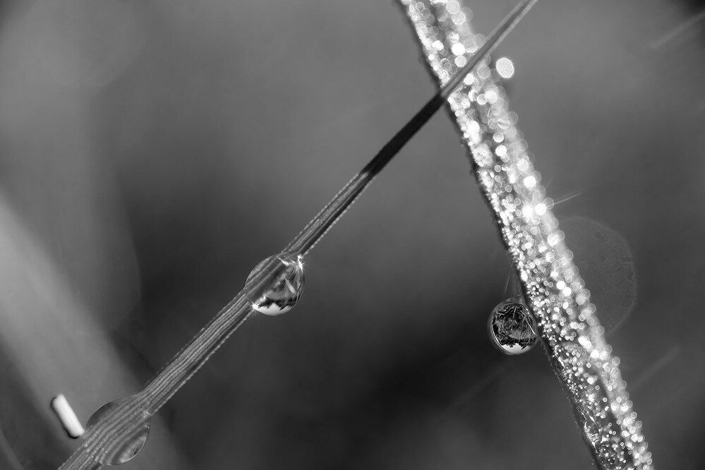 Photograph by Дмитрий Ткаченко