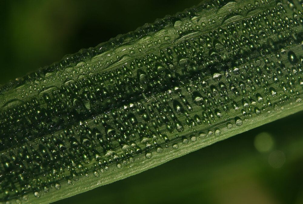 Photograph by Дмитрий Ткаченко