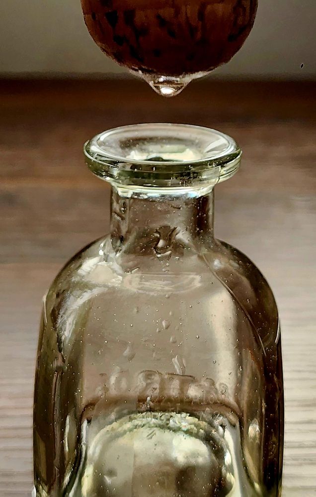 Фотография автора Adriana Rocha