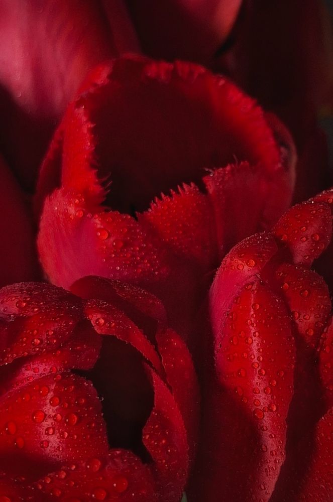 Photograph by Марина Мальцева