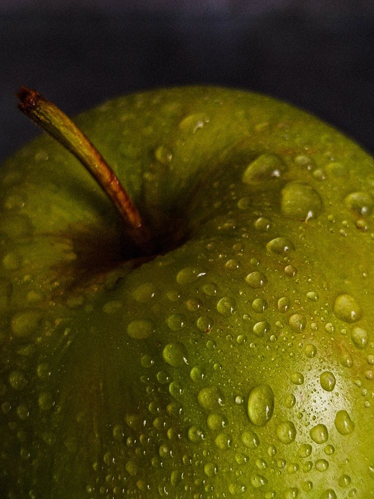 Photograph by Марина Мальцева