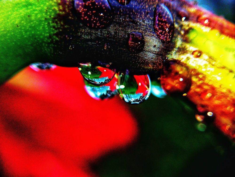 Фотография автора Jose Marcos Carvajal Tarazona