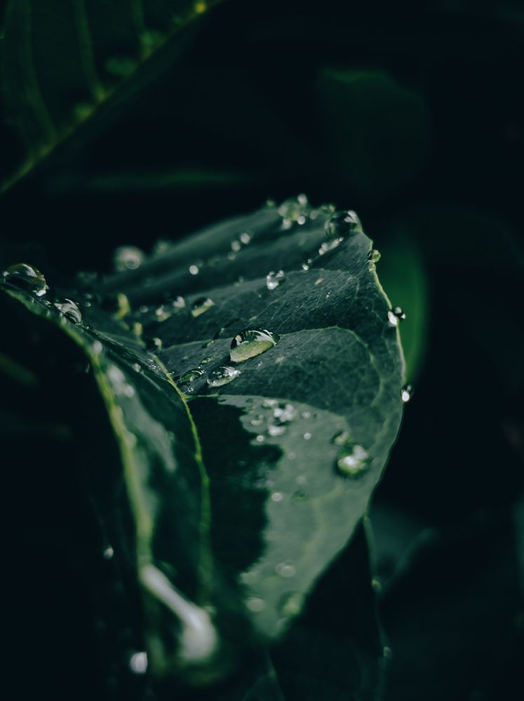 Photograph by Dhruv Mistry