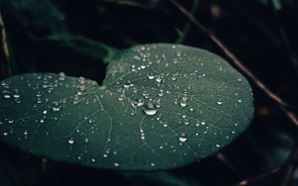 Photograph by Dhruv Mistry