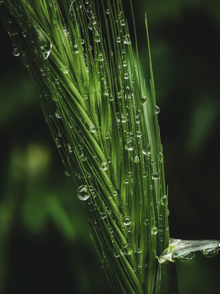 Photograph by Евгений Былков