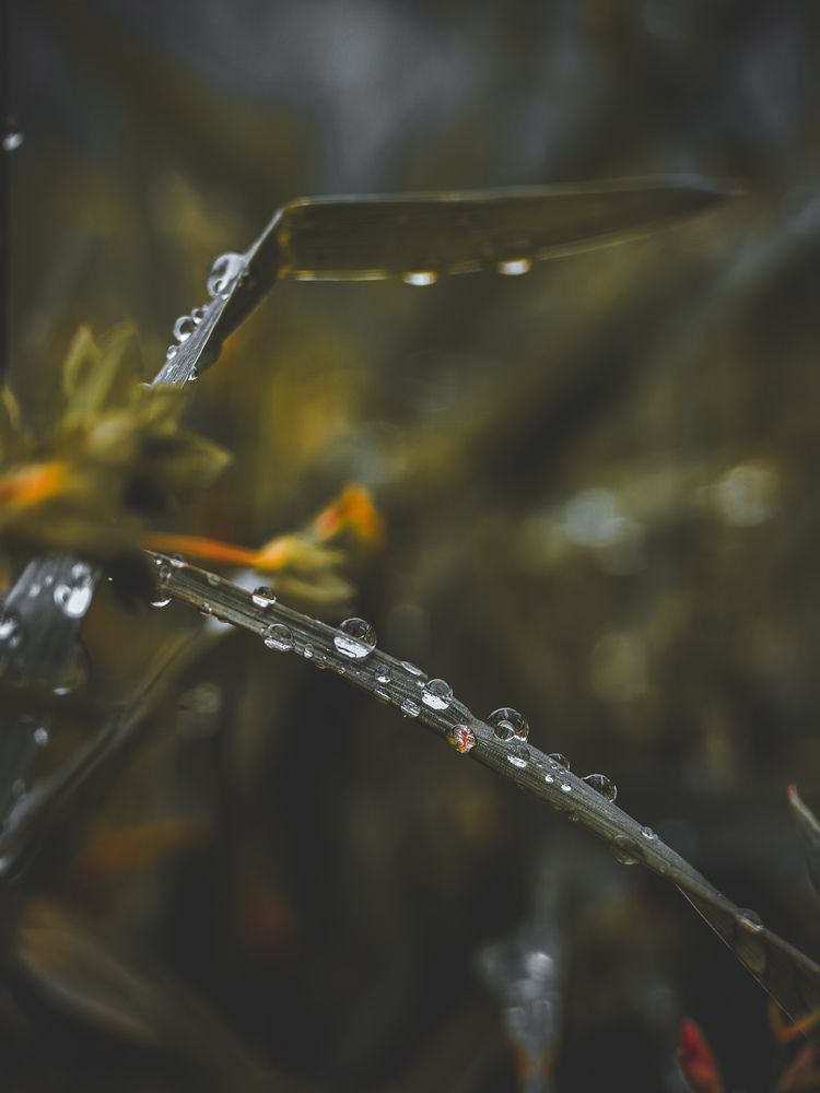 Фотография автора Евгений Былков