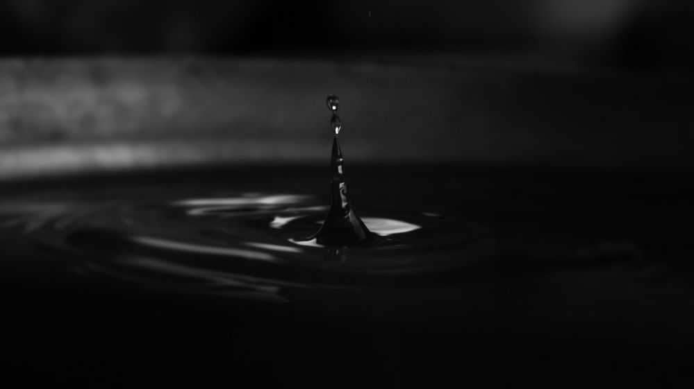 Photograph by Morteza Ghanbari