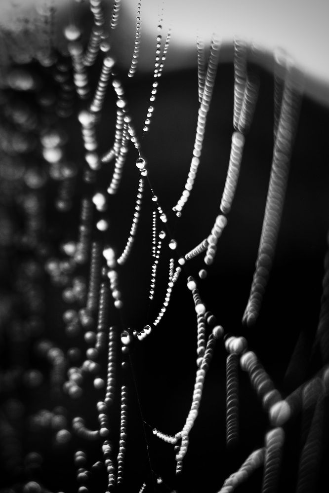 Фотография автора VIZO