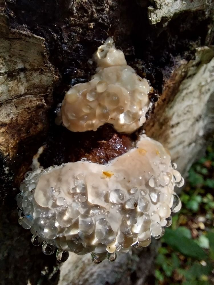 Photograph by Людмила Липаткина