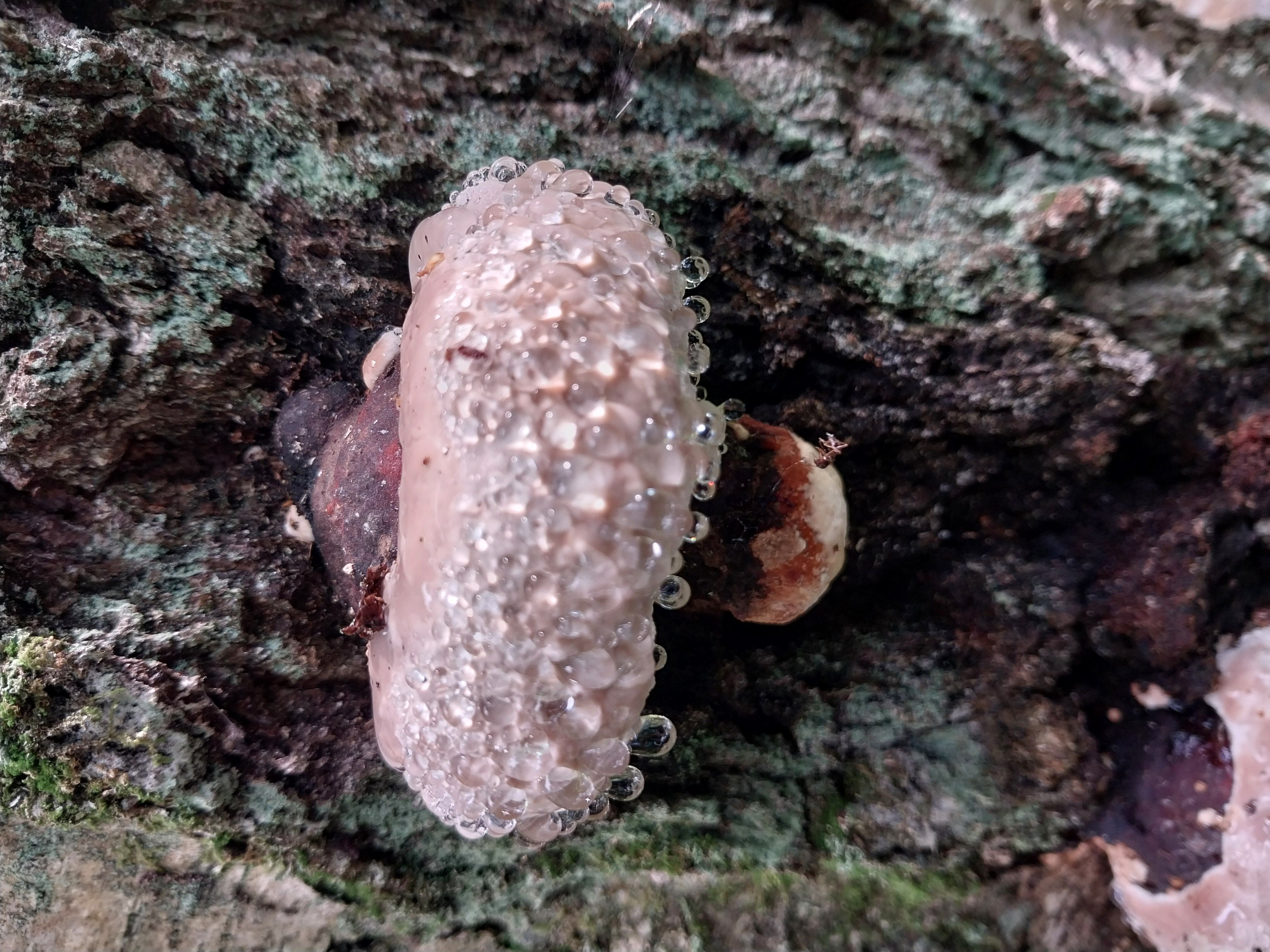 Photograph by Людмила Липаткина