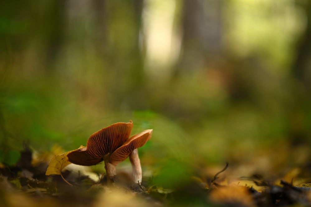 Photograph by Арсений Яковлев