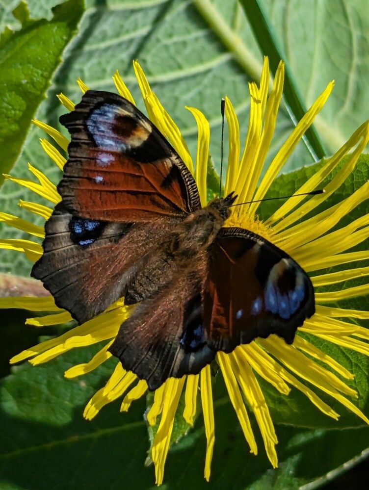 Photograph by Марина Павловская