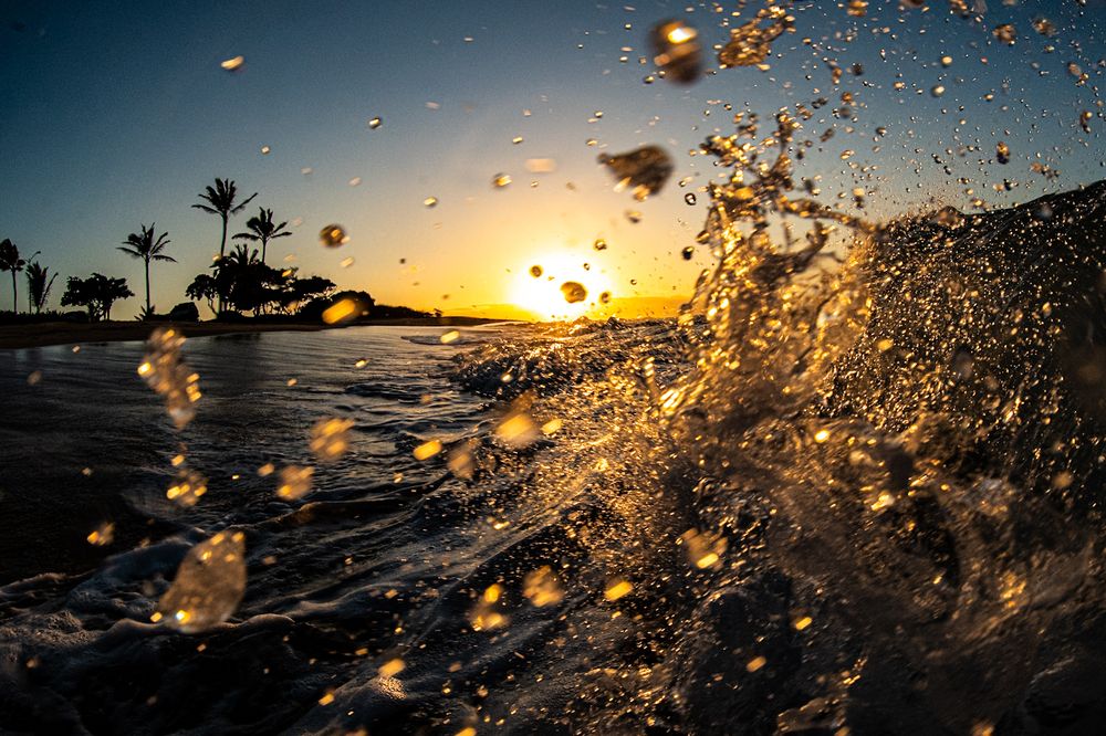 Photograph by nishijima takayuki