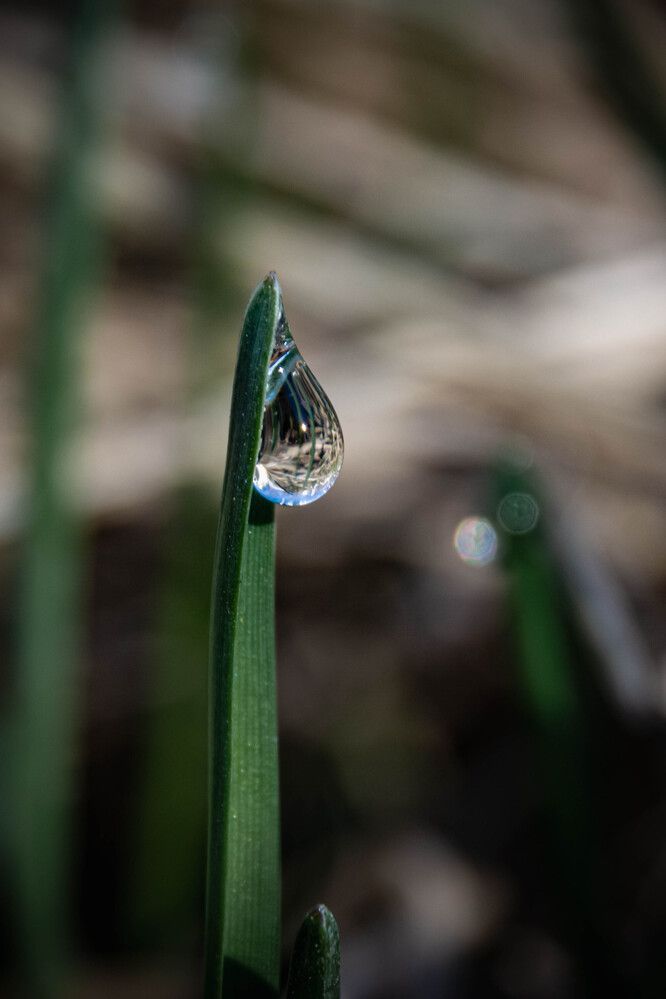 Photograph by Людмила Баймухаметова