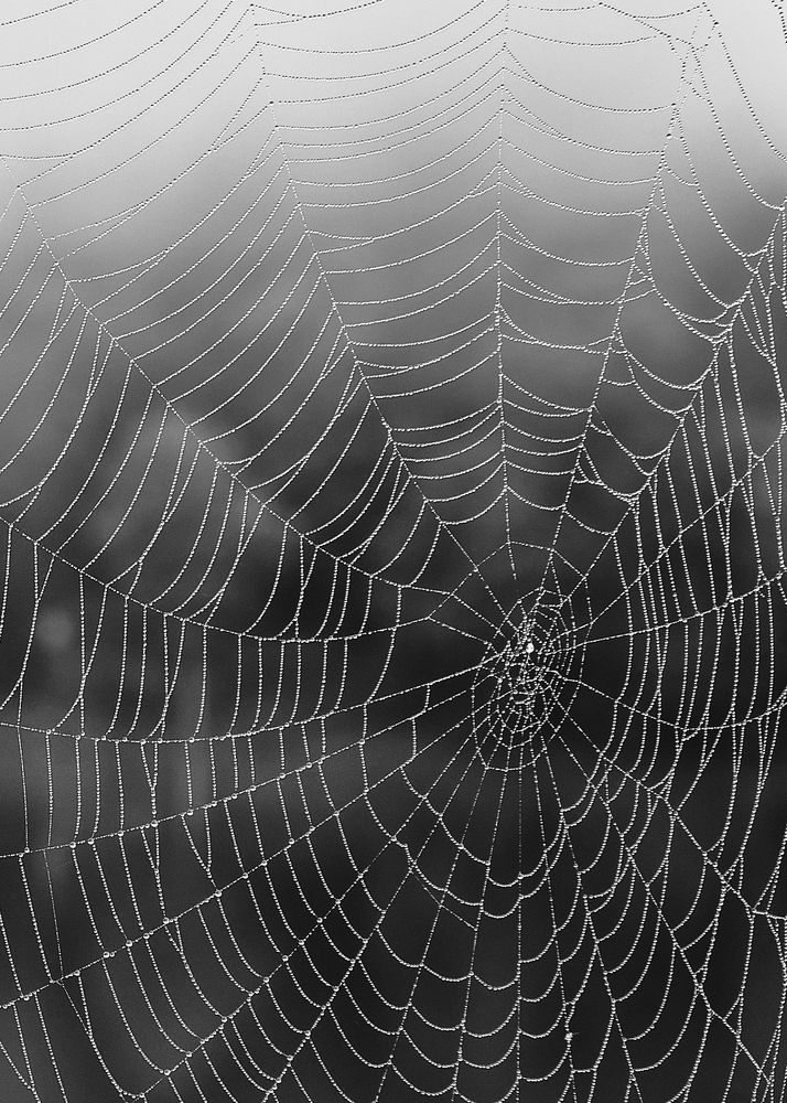 Фотография автора Владимир Эделев