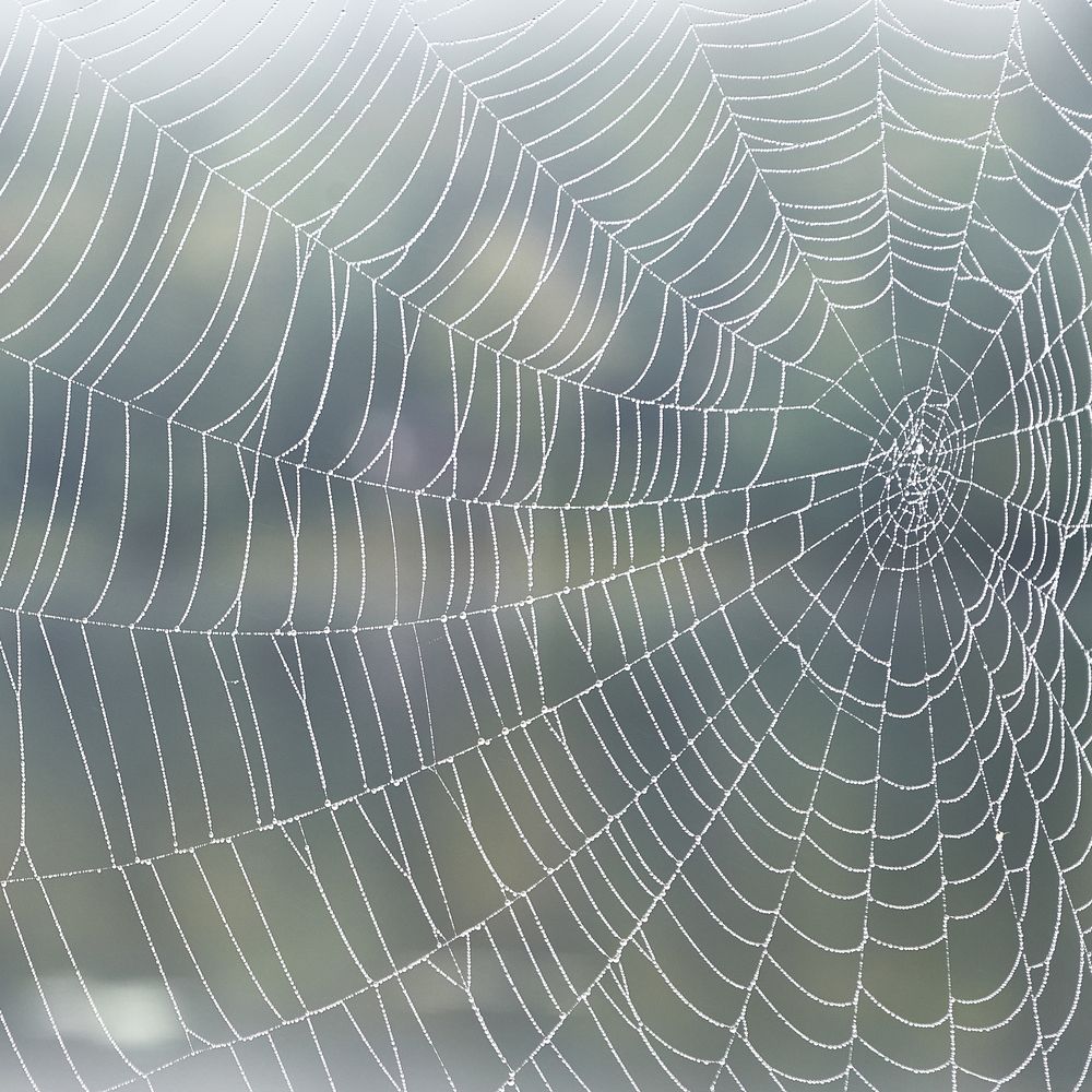 Фотография автора Владимир Эделев