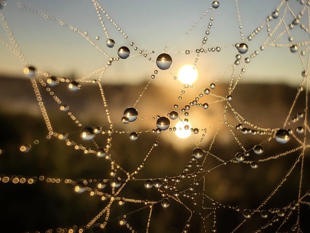 Photograph by Maiya Bulatova