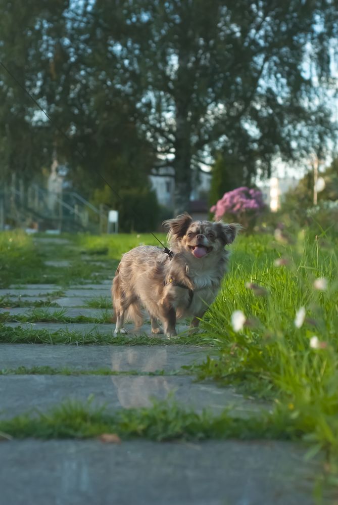 Photograph by Сергей Зимин