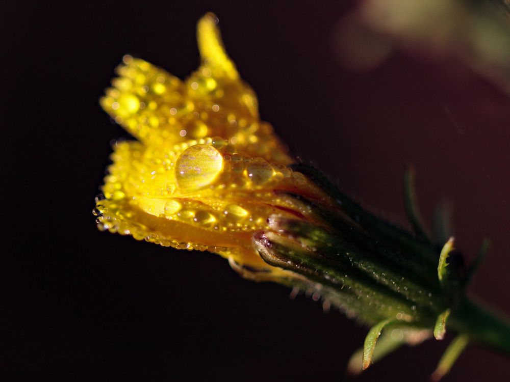 Photograph by Сергей Конюшенко