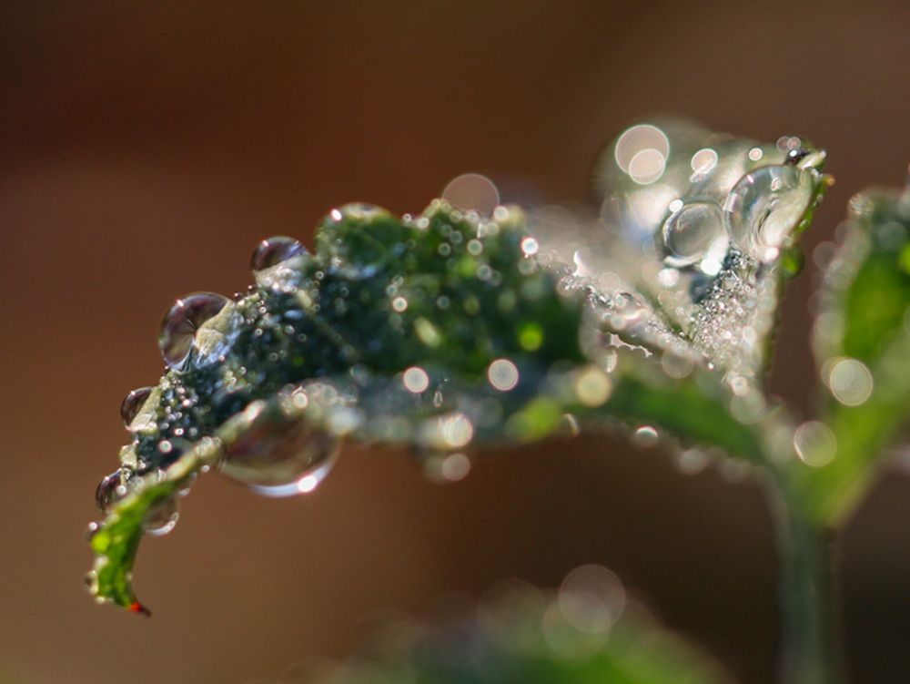 Photograph by Сергей Конюшенко