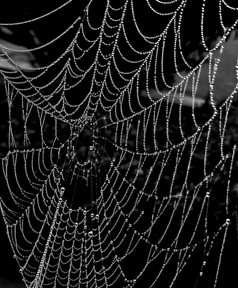 Photograph by G GOVIL