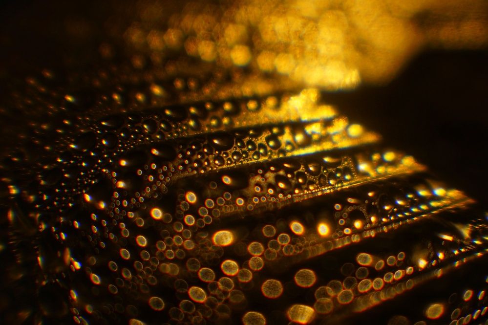 Photograph by Наталья Канищева-Медынская