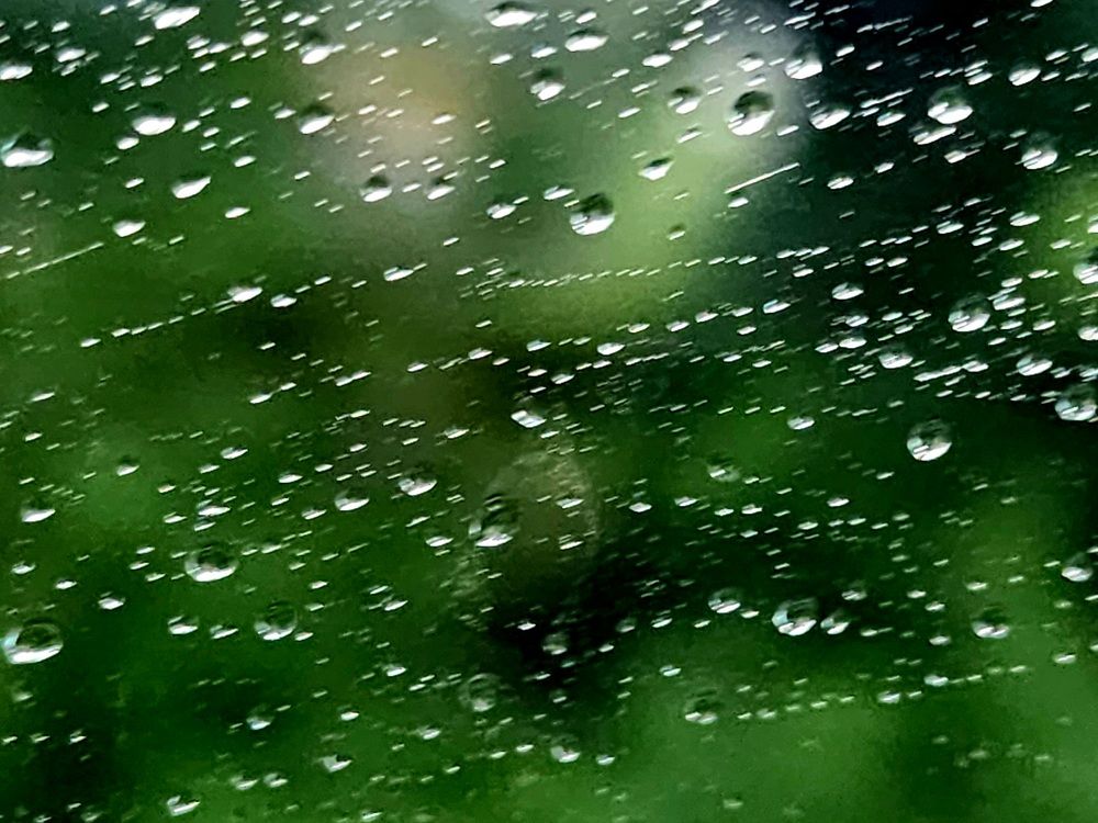 Photograph by G GOVIL