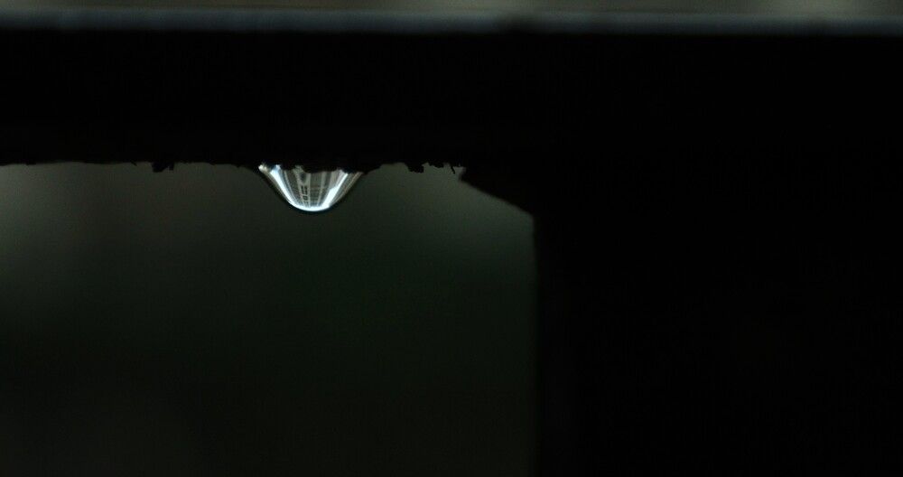 Photograph by G GOVIL