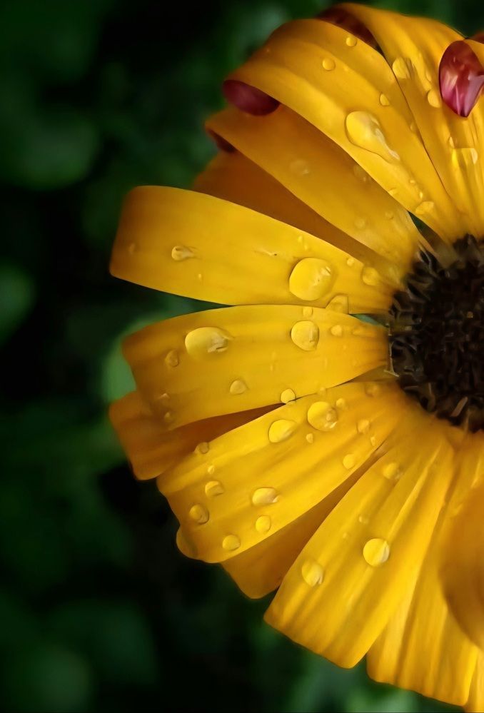 Photograph by Polina Svirida