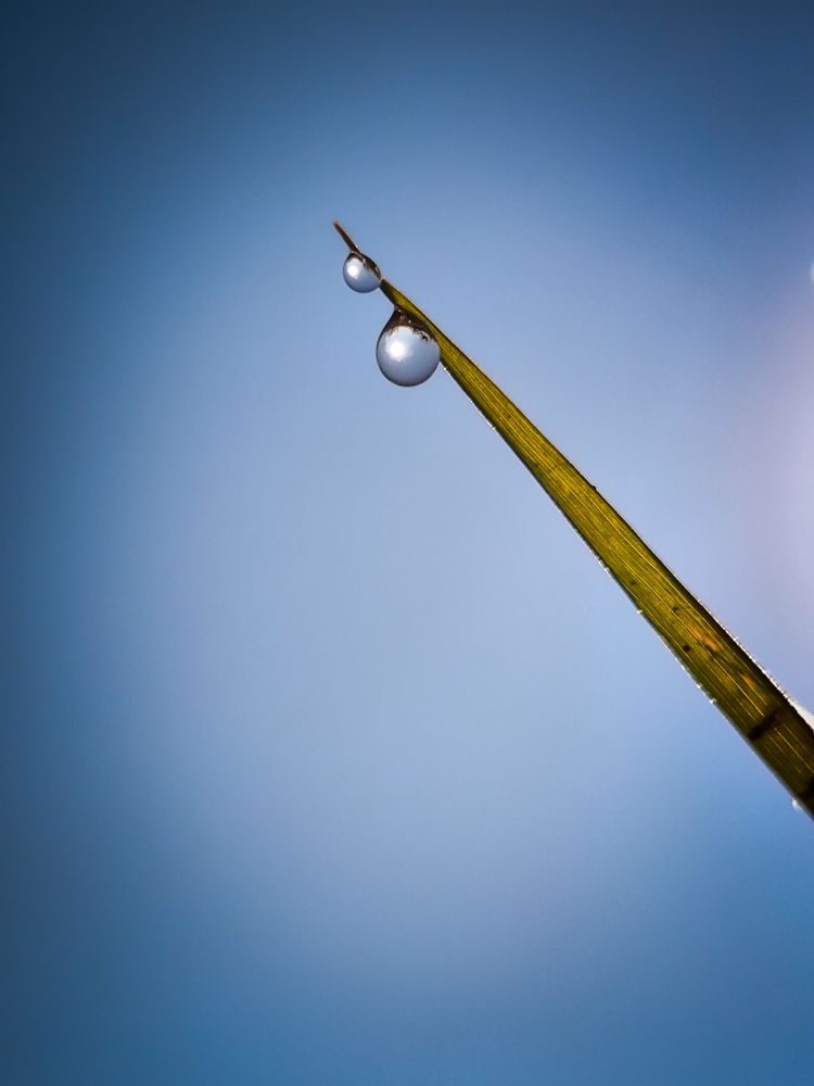 Фотография автора Лена Гром